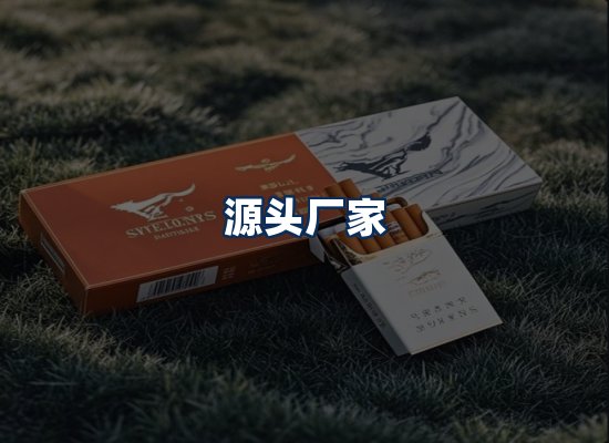 专业团队办公环境